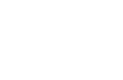 Logo for the art of launching program