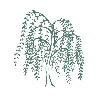 teal willow tree illustration return to eden hr consulting