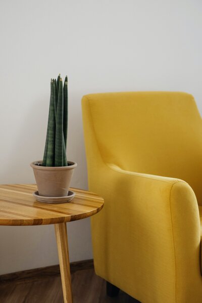Cactus on a wooden side table next to a yellow arm chair