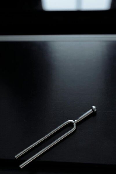 Tuning fork symbolizing sound-based nervous system therapy like SSP and RRP