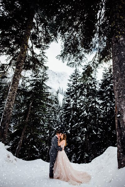 Washington Winter Elopements can be beautiful snowy events.