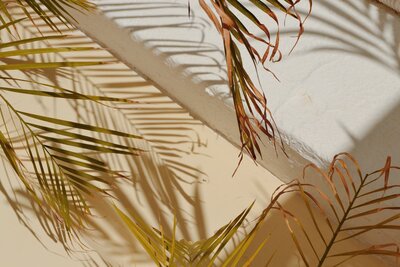 federica-giusti-uYl9tJsnBXk-unsplash