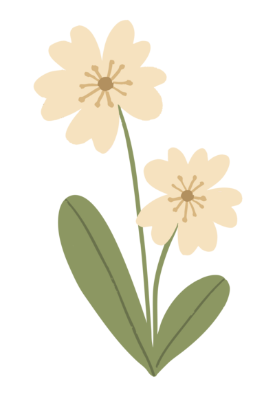 Florida Social Butterfly Green Leaf icon