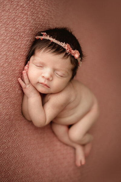 newborn girl on pink backdrop in cedarburg studio