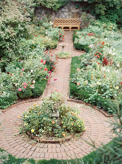 Beautiful rose garden on wedding estate grounds