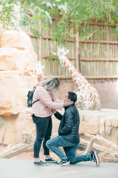 Couple gets engaged at Lincoln Park Zoo