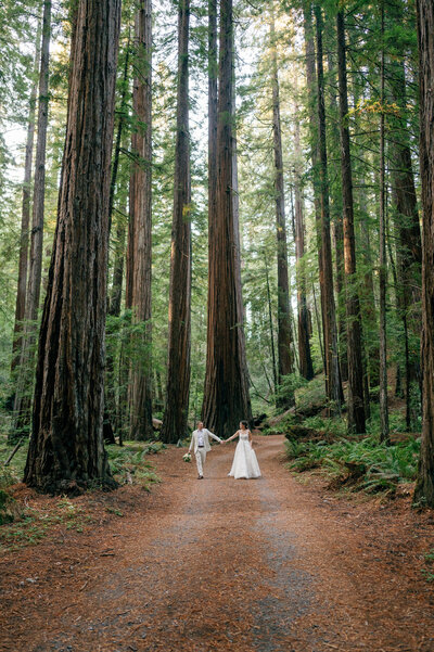 bride and groom stroll in the California Redwoods