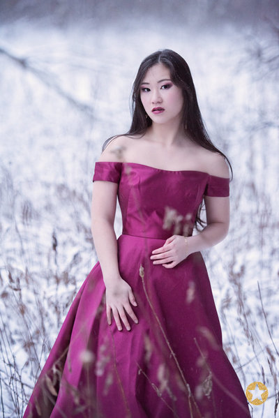 Wayzata Minnesota high school senior picture of a girl in pink dress in the snow