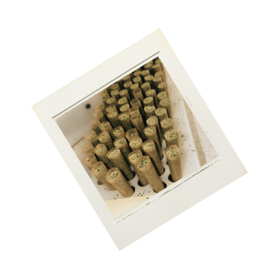 Cannabis prerolls being hand-packed with premium flower at Earth Keeper Cannabis.