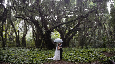 Bride and Groom pose kiss underneath umbrella