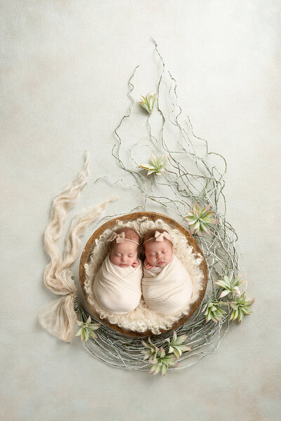 sweet newborn twin girls swaddled in  cream wraps posed in a bowl with succulent flower and twgs around the bowl on a neutral background
