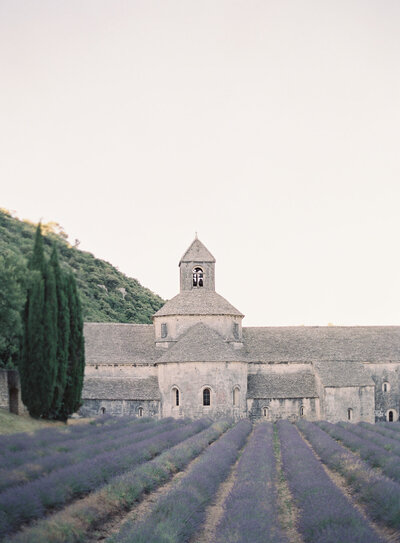 Sénanque Abbey in Provence with dozens of rows of freshly grown lavender