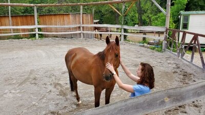 Horsemanship - práce s koňmi netradičně