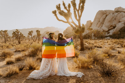 Couple in Joshua Tree holding pride flag