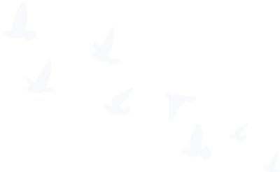 country music cincinnati