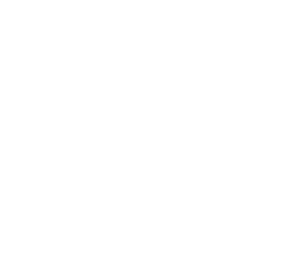 lisa joy photography logo