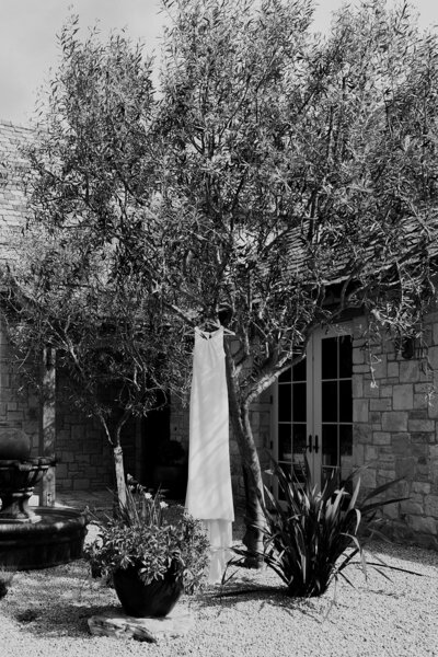 Wedding dress hung outside on olive tree for dress photos. Brick house in background some succulent plants and rocks in foreground.