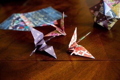 Picture of origami cranes