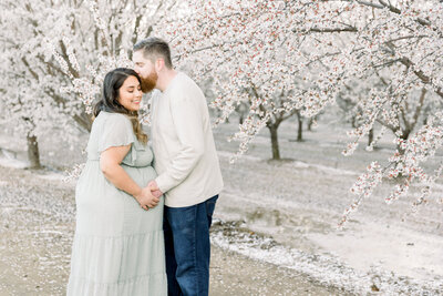 Image of expecting parents standing in almond orchard father kissing mothers head and both holding belly taken by Sacramento Newborn Photographer Kelsey Krall