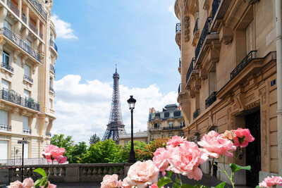 View of the Eiffel Tower from a Parisian street, framed by elegant buildings. In the foreground, pink roses bloom under a bright blue sky with scattered clouds.