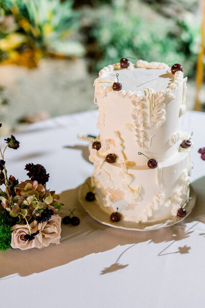 A sculptural white wedding cake adorned with cherries and florals, styled with natural textures and photographed in soft editorial light at Hummingbird Nest Ranch.