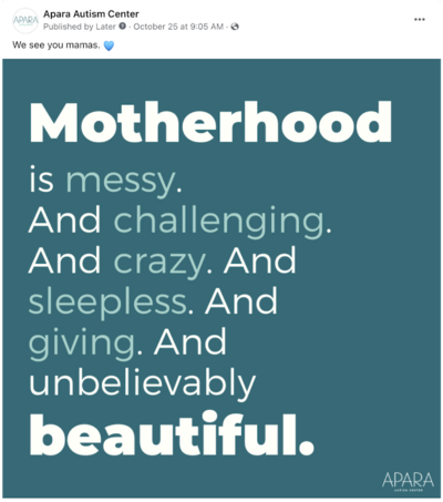 Apara Autism Center social post created by The Bea Connected team talking about motherhood