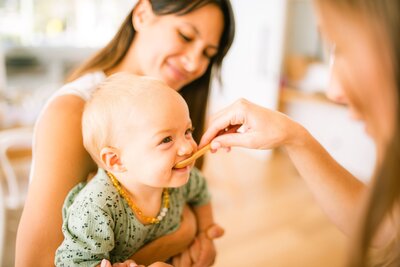 The Boob to Food membership for holistic support during your infant's weaning journey.