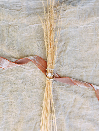wedding rings on blades of dry grass and pink ribbon