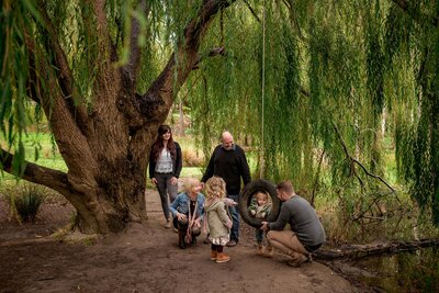 extended family playing below willow tree