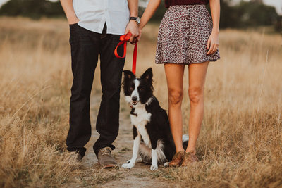 Engagement session with the couple's dog in Discover Park Seattle.
