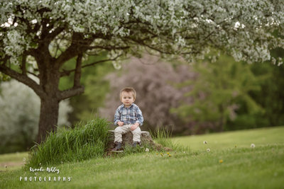 maine-family-toddler-photographer- (3 of 3)