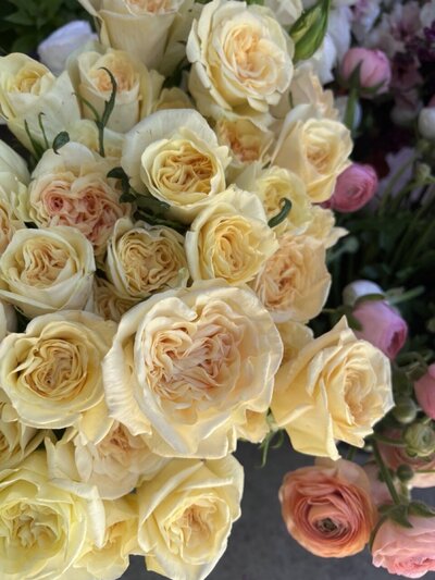 Yellow peach colored roses for DIY wedding