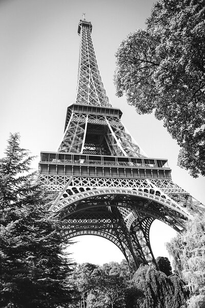 Eiffel Tower by Knoxville Wedding Photographer Amanda May Photos