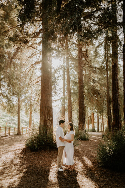 couple embracing under trees