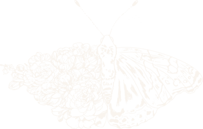 hand illustrated moth