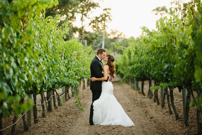A bride and a groom kissing in the middle of a vineyard in northern california