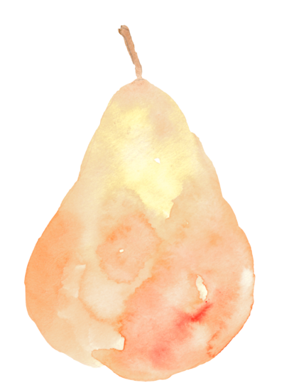 Large Watercolor Pear in peach tones