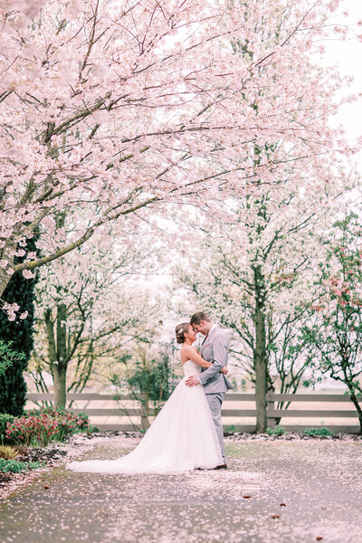 Spring Maplehurst Farm Wedding, Seattle Wedding Photographer