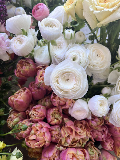 White ranunculus and pink tulips