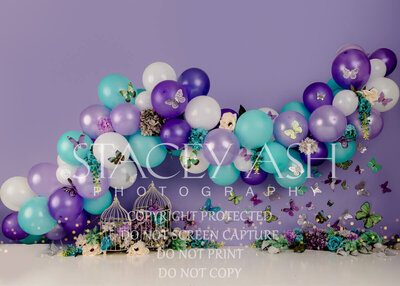 purple teal butterfly balloon cake smash backdrop-stacey-ash-photography (3)