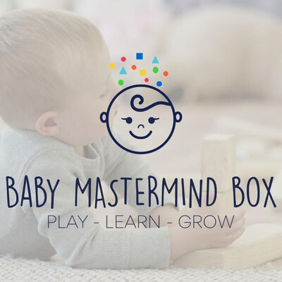 baby mastermind box branding and website design