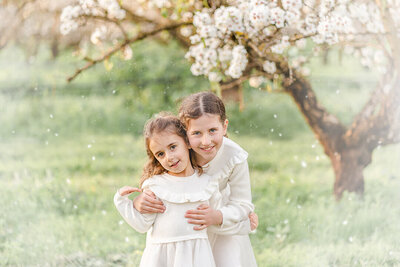 Sisters cuddling each other under cherry blossoms in Brisbane during family portrait session.