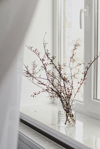 Minimalist interior styling with branch in vase on window ledge.