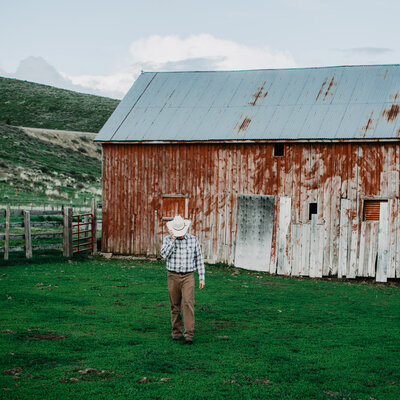Jackson Hole Wyoming wedding photographer shared her family ranch, man walking towards the camera with her cowboy hat tipped down in a green field and with a rustic red barn behind him