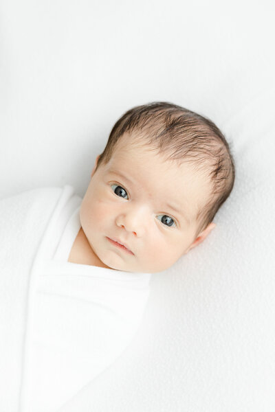 Swaddled newborn baby stares into camera lens during newborn portrait session