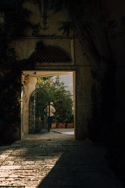 artistic image of gated entrance