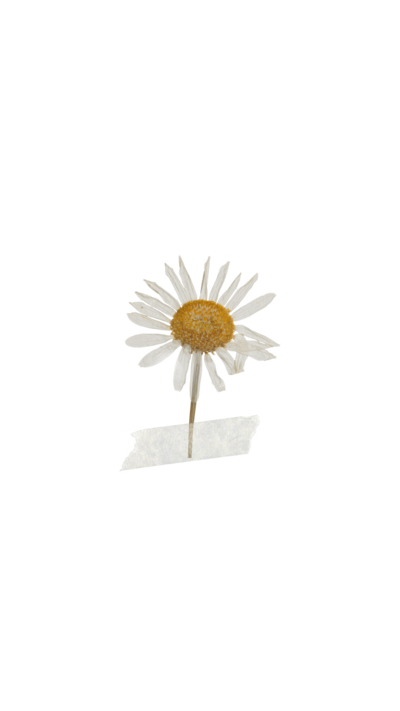 white flower with tape graphic