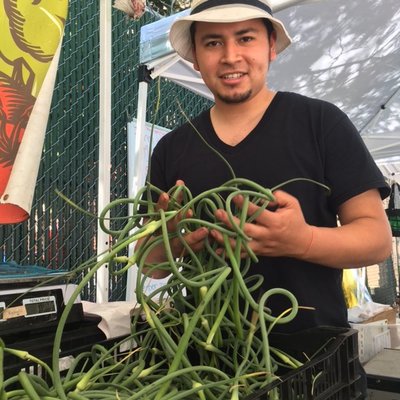 South Bronx Farmers Market