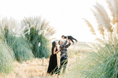 family standing in pampas grass field holding little boy in the air taken by maternity photographer sacramento Kelsey Krall