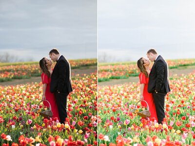 spring photos of couple in tulip field